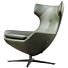 Leolux Caruzzo Fauteuil Groen