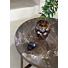 Salontafel Dutchz 704