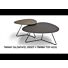 Salontafel Twinny set van 2 