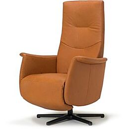 De Toekomst Relaxfauteuil New Fabulous Five F2-100